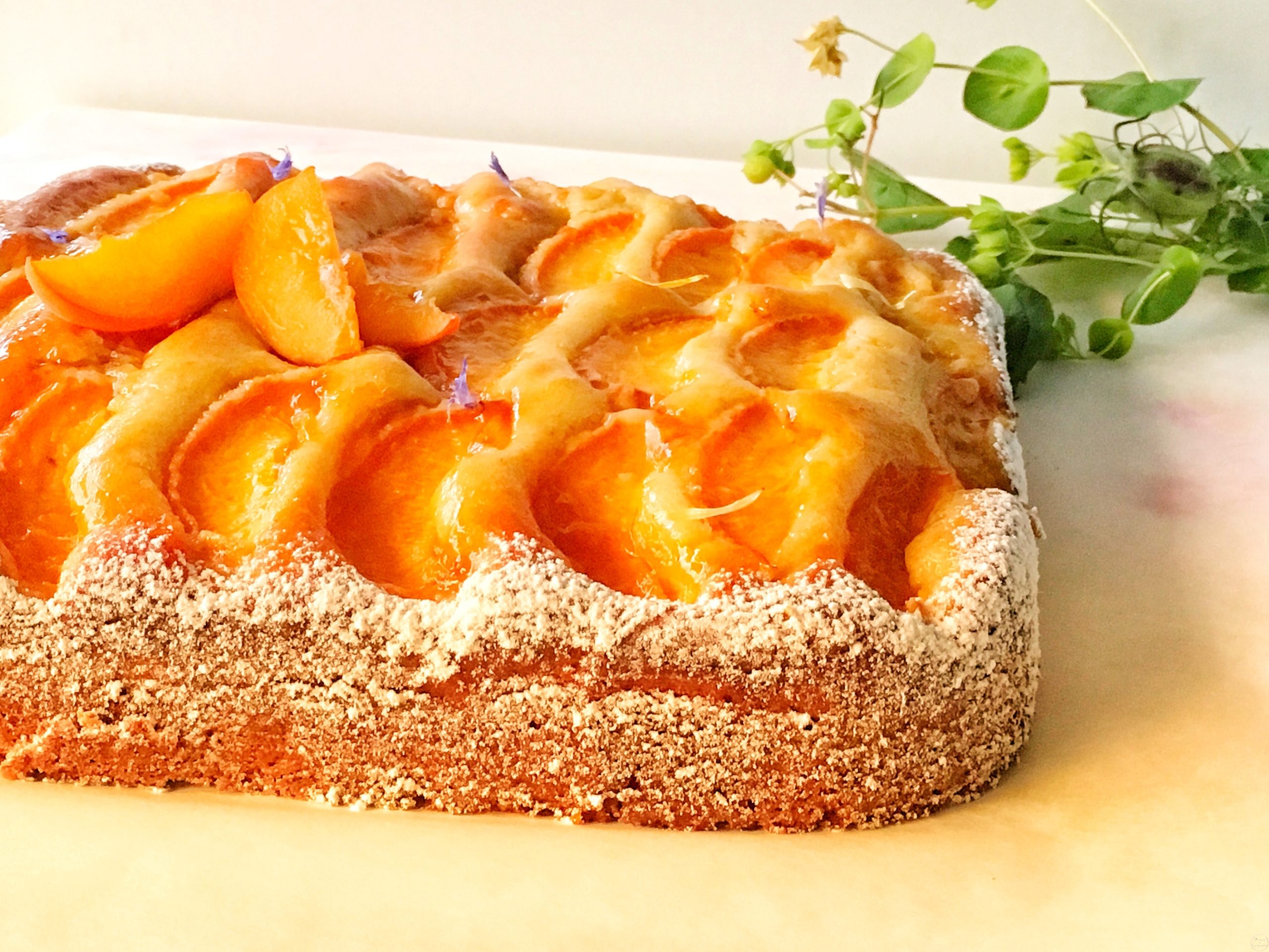Gâteau moelleux aux abricots ricotta